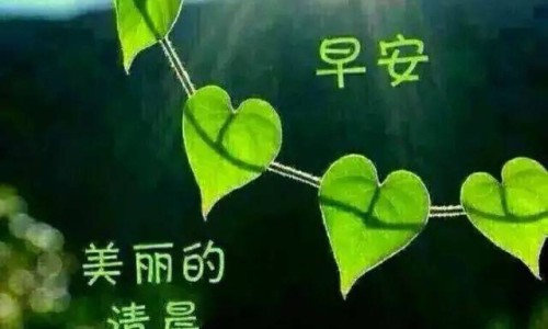 混合痔是痔疮中最严重的吗-混合痔痔疮打针效果网 | 混合痔是痔疮中最严重的吗,混合痔痔疮手术要几天恢复几天可以上班