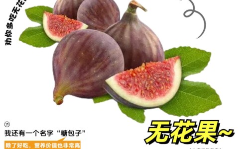 混合痔痔疮手术后多久才能恢复正常-混合痔痔疮打针效果网 | 混合痔是痔疮中最严重的吗,混合痔痔疮手术要几天恢复几天可以上班